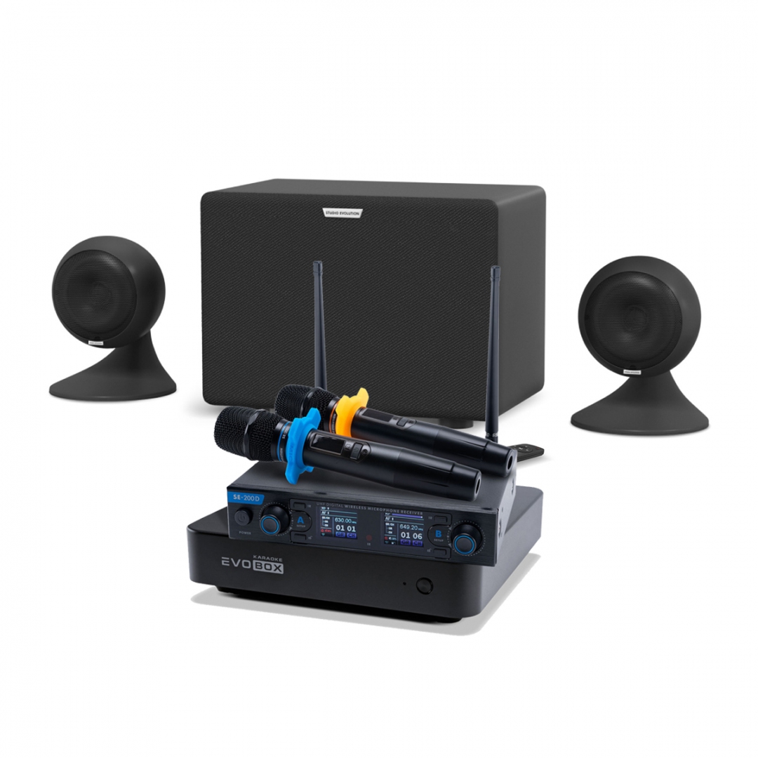 караоке-комплект EVOBOX + EvoSound Sphere 2.1 в Толбазах