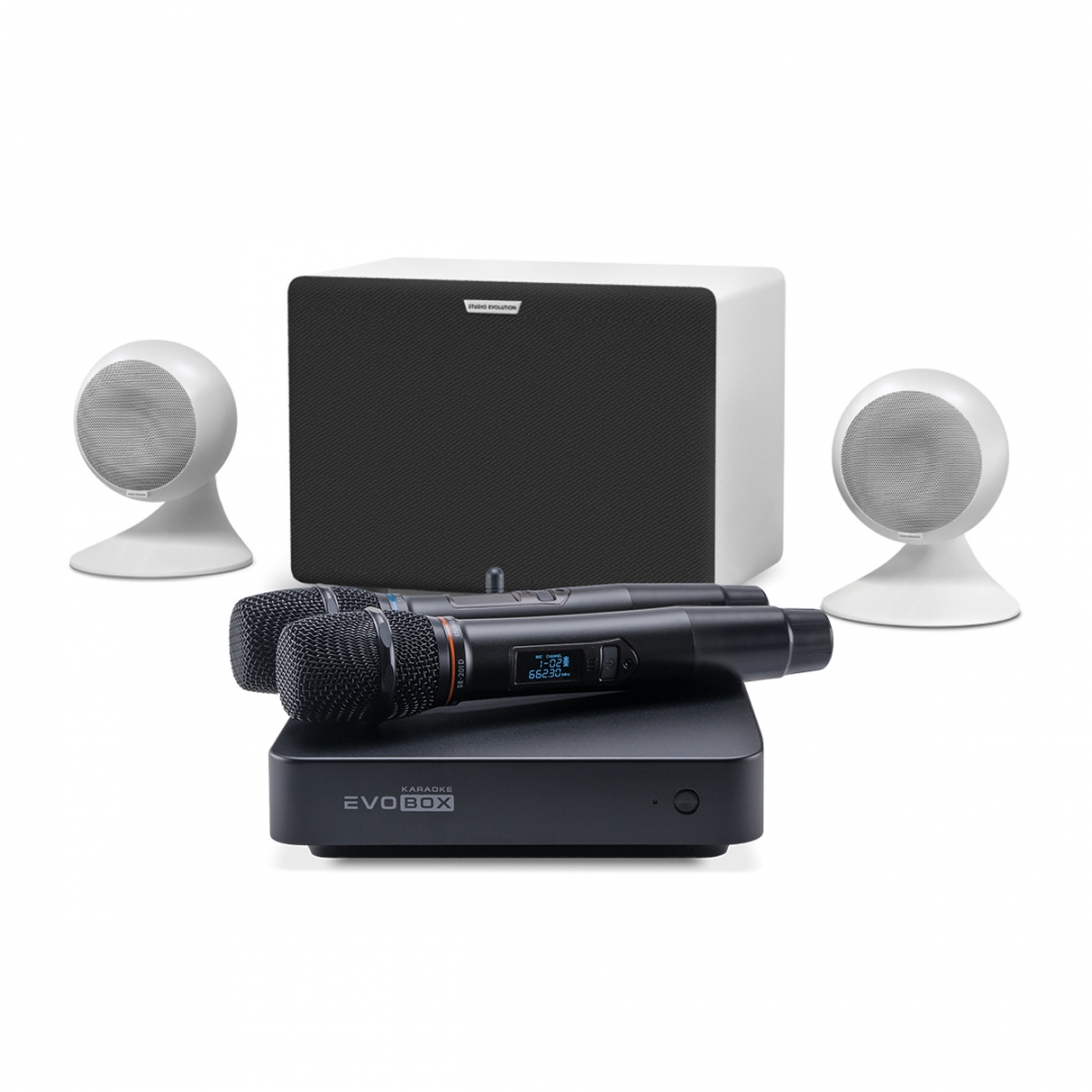 караоке-комплект EVOBOX Classic + EvoSound Sphere 2.1 в Толбазах