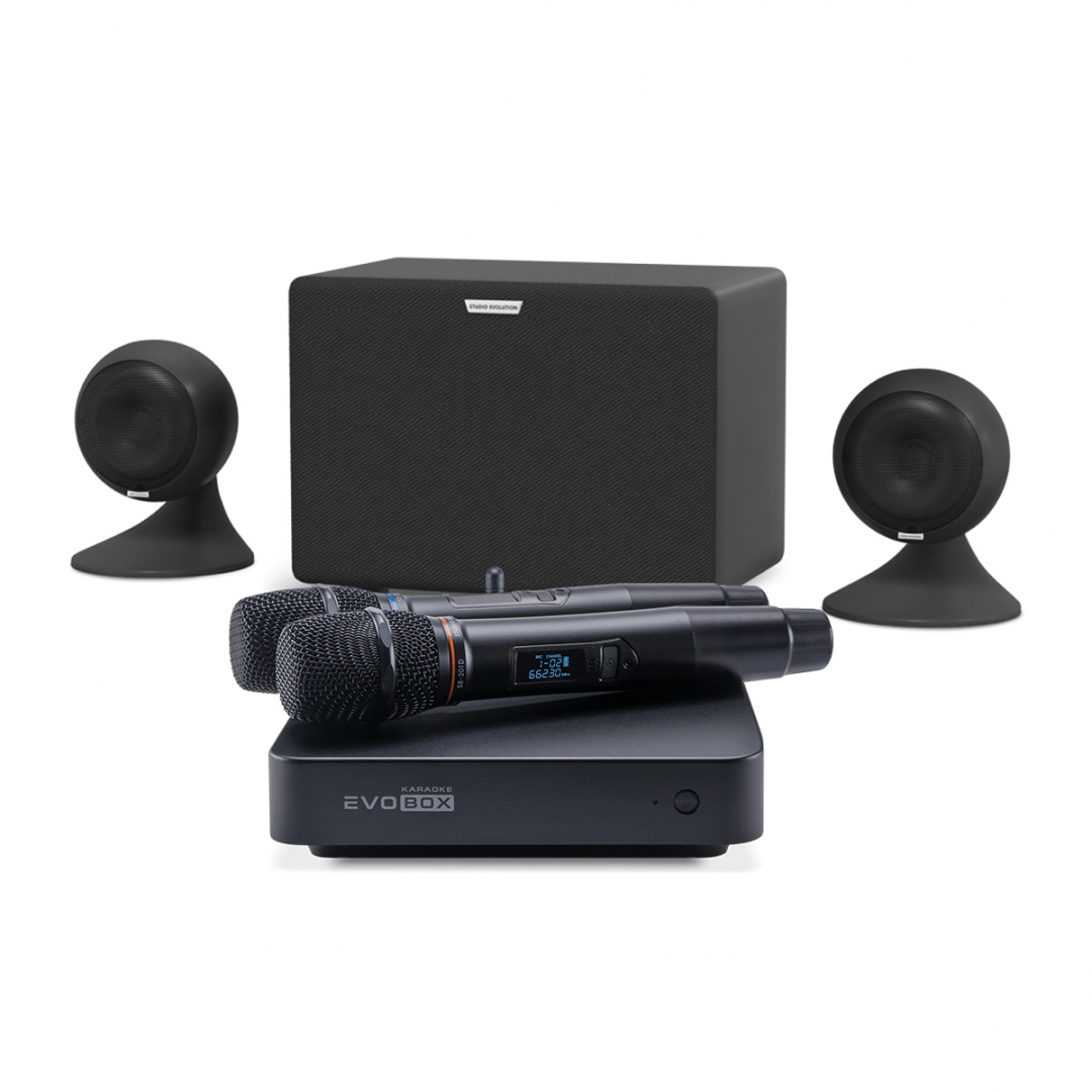 караоке-комплект EVOBOX Plus + EvoSound Sphere 2.1 в Толбазах