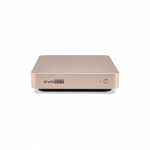 EVOBOX с микрофонами в Толбазах